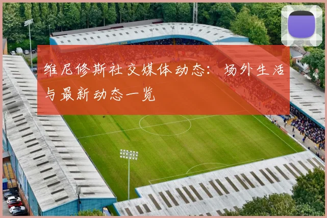 维尼修斯社交媒体动态:场外生活与最新动态一览
